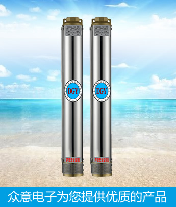 Deep Submersible Pump